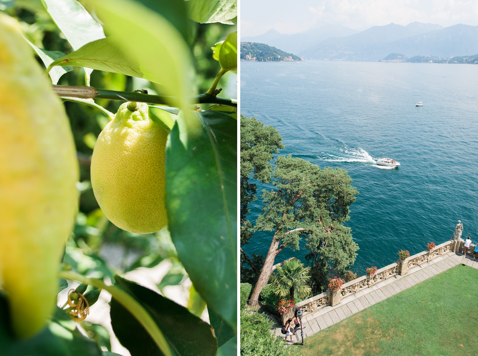 Lake Como lemon trees and lake view