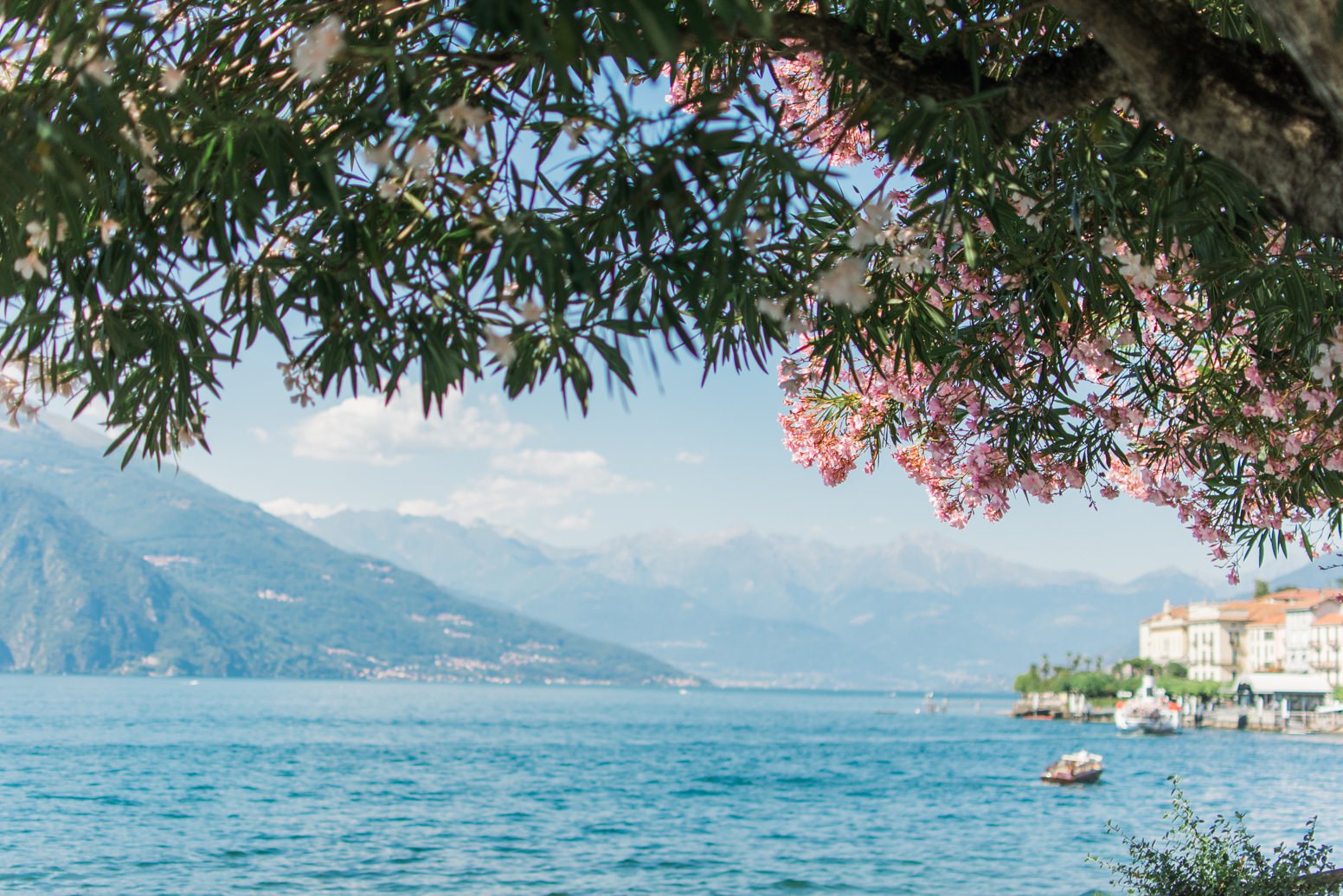Lake Como view with blooming tree