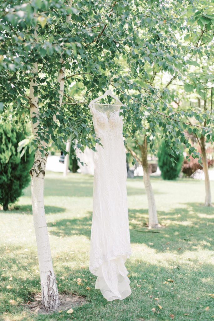 Bridal Dress hanging from tree branch in the sunshine.