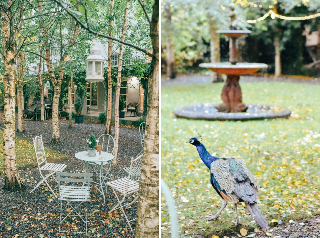 Gloster House's charming courtyard and resident peacock.