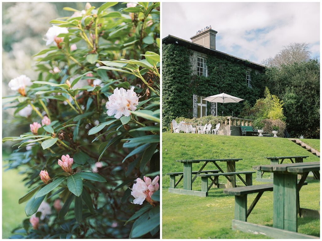 Sunny florals and dining at Trudder Lodge, Wicklow.