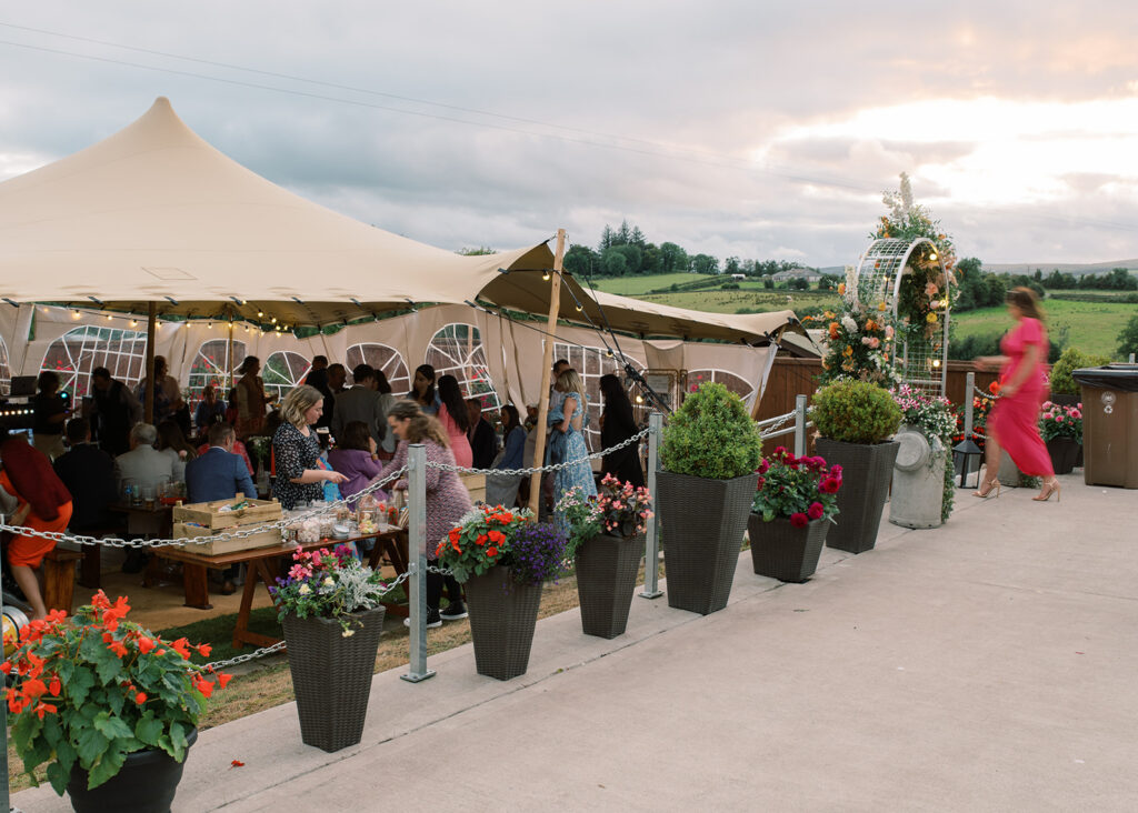 Irish garden wedding party in Monaghan.